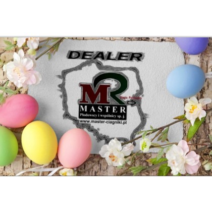 Wesołych Świąt Wielkanocnych - Życzy firma Master  ! ! ! 