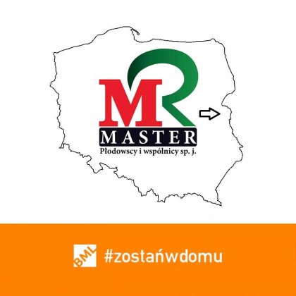 zostańwdomu